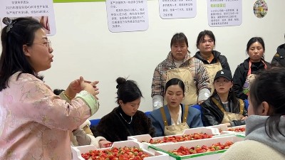 共赴 “莓” 好之约，毅聆康全体齐心奋进新程