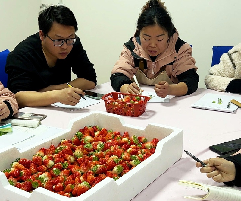 公司核心会议